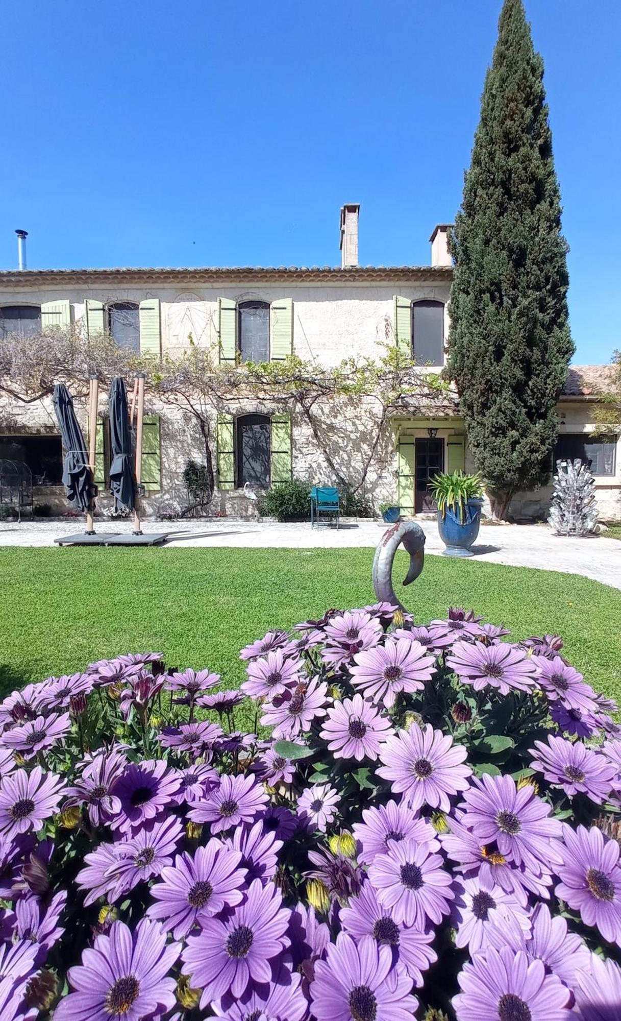 Le Mas Neuf 1752 Arles Esterno foto